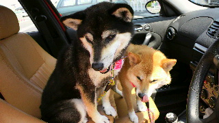 2012052714030000.jpg