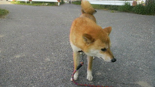2012052715010000.jpg
