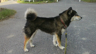 2012052715010001.jpg