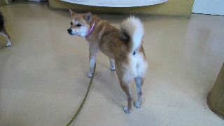 2012060211010000.jpg