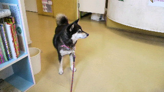 2012060211010001.jpg