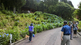 2012062315580001.jpg