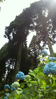 2012062315580002.jpg