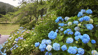2012062315590000.jpg