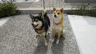 2012062414390001.jpg