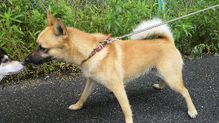 2012062513000001.jpg