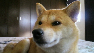 2012070718120000.jpg
