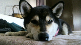 2012070718120001.jpg