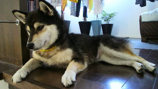 2012070806240000.jpg