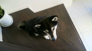 2012070806240001.jpg