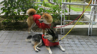 2012070813180001.jpg