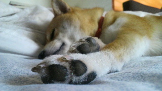 2012070905400000.jpg