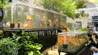 2012071008270000.jpg