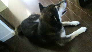 2012071008270001.jpg