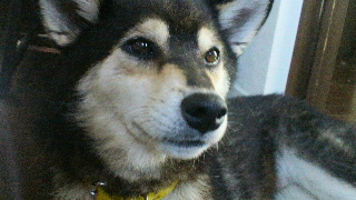 2012071008280000.jpg