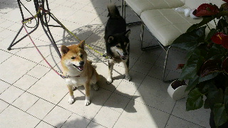 2012071409540000.jpg