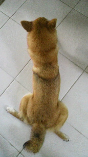 2012071510360000.jpg