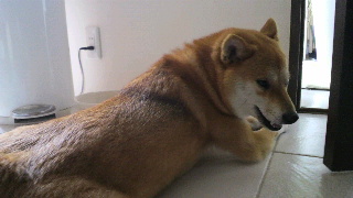2012071510360001.jpg