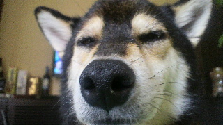 2012071516130000.jpg