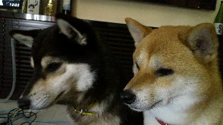 2012071613300000.jpg