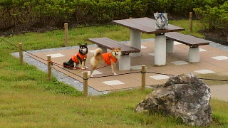 2012072109590001.jpg