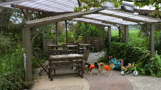 2012072111480000.jpg