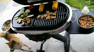 2012072117420001.jpg