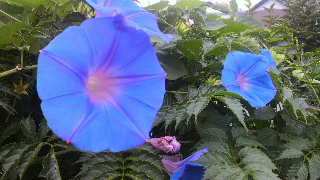2012072119250001.jpg