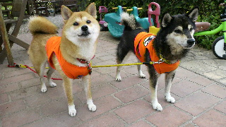 2012072119250002.jpg