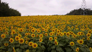 2012072217460000.jpg