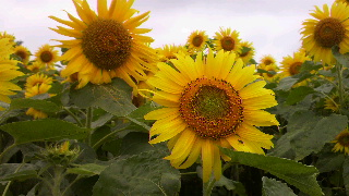 2012072217470001.jpg