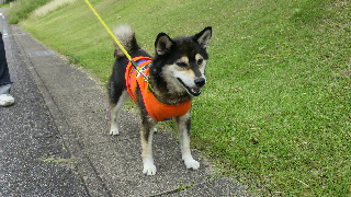 2012072221160000.jpg