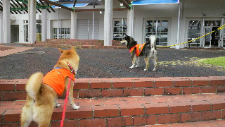 2012072300370001.jpg