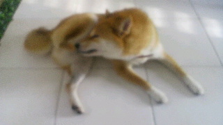 2012072413440000.jpg