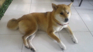 2012072413470000.jpg