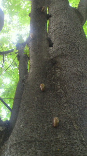 2012072413570000.jpg