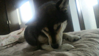 2012072414080000.jpg