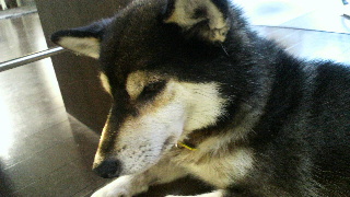 2012072414080001.jpg