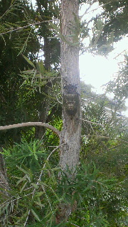 2012072507450000.jpg