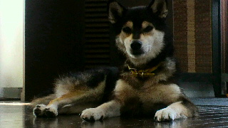 2012072823100000.jpg