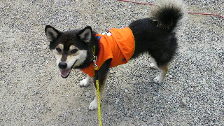 2012073008190002.jpg