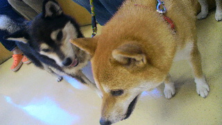 2012080409360000.jpg