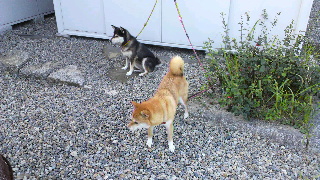 2012080507490001.jpg