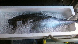 2012080509580000.jpg