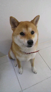 2012080519100001.jpg