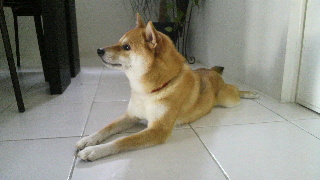 2012082007340000.jpg