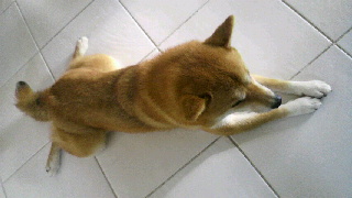 2012082007340001.jpg