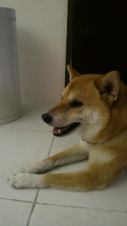 2012082510430001.jpg