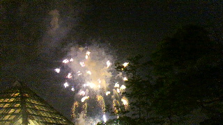 2012082521590000.jpg