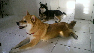 2012082807220000.jpg